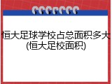 恒大足球学校占总面积多大(恒大足校面积)