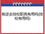 叛逆去技校职高有用吗(技校有用吗)