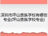 深圳市坪山贵族学校有哪些专业(坪山贵族学校专业)
