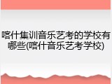 喀什集训音乐艺考的学校有哪些(喀什音乐艺考学校)
