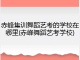 赤峰集训舞蹈艺考的学校在哪里(赤峰舞蹈艺考学校)