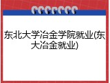 东北大学冶金学院就业(东大冶金就业)