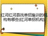 红河红河县找单招集训的机构有哪些(红河单招机构)
