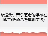 昭通集训音乐艺考的学校在哪里(昭通艺考集训学校)