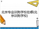 北京专业训狗学校在哪(北京训狗学校)