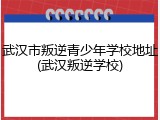 武汉市叛逆青少年学校地址(武汉叛逆学校)