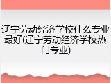 辽宁劳动经济学校什么专业最好(辽宁劳动经济学校热门专业)
