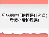 母猪的产后护理是什么课(母猪产后护理课)