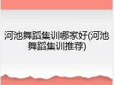 河池舞蹈集训哪家好(河池舞蹈集训推荐)