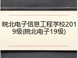 皖北电子信息工程学校2019级(皖北电子19级)