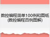 数控编程简单100例和图纸(数控编程百例图解)