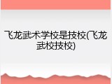 飞龙武术学校是技校(飞龙武校技校)