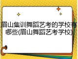 眉山集训舞蹈艺考的学校有哪些(眉山舞蹈艺考学校)