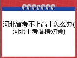 河北省考不上高中怎么办(河北中考落榜对策)
