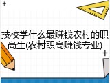 技校学什么最赚钱农村的职高生(农村职高赚钱专业)