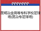 昆明冶金高等专科学校足球场(昆冶专足球场)