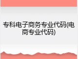 专科电子商务专业代码(电商专业代码)