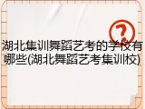 湖北集训舞蹈艺考的学校有哪些(湖北舞蹈艺考集训校)