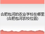 合肥包河的农业学校在哪里(合肥包河农校位置)
