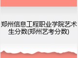 郑州信息工程职业学院艺术生分数(郑州艺考分数)