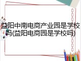 益阳中南电商产业园是学校吗(益阳电商园是学校吗)