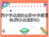 西宁学动漫的业职中学哪里有(西宁动漫职校)