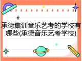 承德集训音乐艺考的学校有哪些(承德音乐艺考学校)