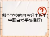 哪个学校的自考好中职生(中职自考学校推荐)