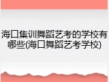 海口集训舞蹈艺考的学校有哪些(海口舞蹈艺考学校)