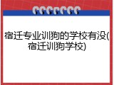 宿迁专业训狗的学校有没(宿迁训狗学校)