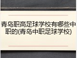 青岛职高足球学校有哪些中职的(青岛中职足球学校)