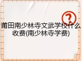 莆田南少林寺文武学校什么收费(南少林寺学费)