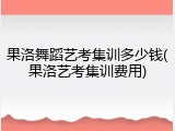 果洛舞蹈艺考集训多少钱(果洛艺考集训费用)