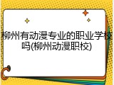 柳州有动漫专业的职业学校吗(柳州动漫职校)