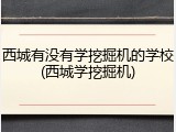 西城有没有学挖掘机的学校(西城学挖掘机)
