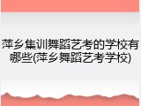 萍乡集训舞蹈艺考的学校有哪些(萍乡舞蹈艺考学校)