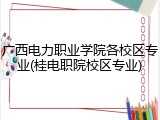 广西电力职业学院各校区专业(桂电职院校区专业)