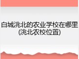 白城洮北的农业学校在哪里(洮北农校位置)