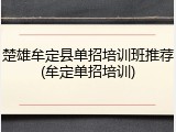 楚雄牟定县单招培训班推荐(牟定单招培训)
