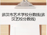 武汉市艺术学校分数线(武汉艺校分数线)