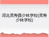 河北灵寿县少林学校(灵寿少林学校)