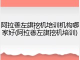 阿拉善左旗挖机培训机构哪家好(阿拉善左旗挖机培训)