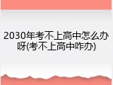 2030年考不上高中怎么办呀(考不上高中咋办)