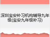 深圳宝安补习机构辅导九年级(宝安九年级补习)