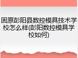 固原彭阳县数控模具技术学校怎么样(彭阳数控模具学校如何)