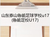 山东泰山鲁能足球学校u17(鲁能足校U17)