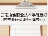 云南冶金职业技术学院最好的专业(云冶院王牌专业)