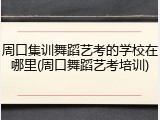 周口集训舞蹈艺考的学校在哪里(周口舞蹈艺考培训)