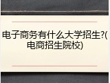 电子商务有什么大学招生?(电商招生院校)
