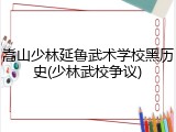 嵩山少林延鲁武术学校黑历史(少林武校争议)
